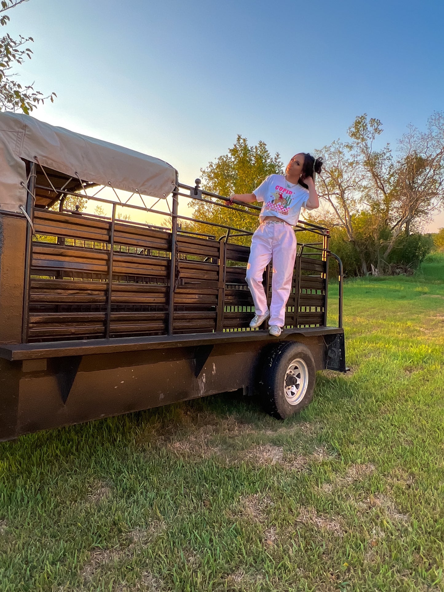 Cupid, Find Me A Cowboy